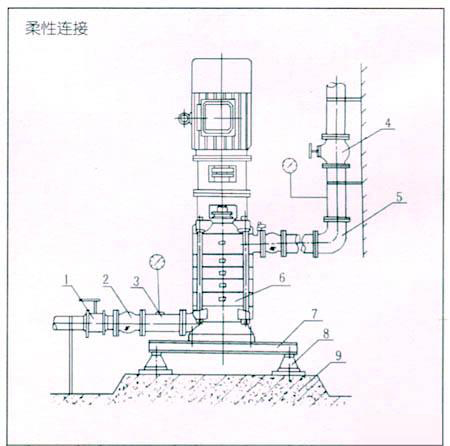 日本在线观看成人大片 DL型立式多级离心泵安装结构表